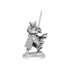 WizKids - 龍與地下城 - 組裝模型 - 「男性半龍人聖騎士」D&D Frameworks: Dragonborn Paladin Male 75022 (NT 500元)