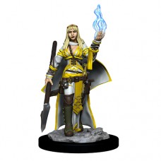 Wizkids - 開拓者深度刻畫未上色模型「人類女性神諭使」 - Pathfinder Battles - Deep Cuts - Female Human Oracle (Magic User) - 90044（NT 180）