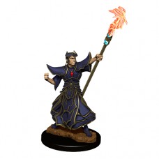 Wizkids - 開拓者深度刻畫未上色模型「人類男性術士」 - Pathfinder Battles - Deep Cuts - Male Human Sorcerer - 90052（NT 180）