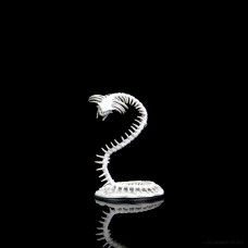 Wizkids - 龍與地下城未上色模型「骨之那迦」 - D&D - Nolzur's Marvelous Miniatures - Bone Naga - 90086（NT 320）