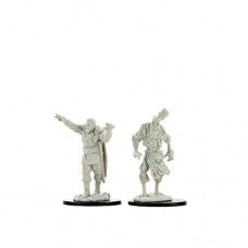 WizKids - 龍與地下城未上色模型 - 「稻草人和被詛咒的石像」 - D&D Nolzur's Marvelous Miniatures: Scarecrow & Stone Cursed（NT 180）90241