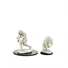 WizKids - 開拓者深度刻畫未上色模型 - 「安妮斯·哈格和格林·哈格」 - Pathfinder Deepcuts: Annis Hag & Green Hag（NT 320）90266 (絕版)