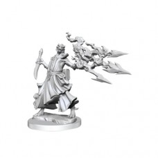 WizKids - 龍與地下城 - 組裝模型 - 「女性半龍人術士」D&D Frameworks: Dragonborn Sorcerer Female 75035 (NT 500元)