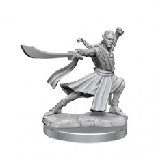 WizKids - 龍與地下城 - 組裝模型 - 「男性精靈武僧」D&D Frameworks: Elf Monk Male 75027 (NT 500元)