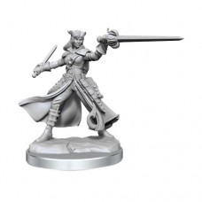 WizKids - 龍與地下城 - 組裝模型 - 「女性魔人盜賊」D&D Frameworks: Tiefling Rogue Female 75020 (NT 500元)