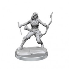 WizKids - 龍與地下城 - 組裝模型 - 「女性人類盜賊」D&D Frameworks: Human Rogue Female 75038 (NT 500元)