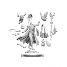 WizKids - 龍與地下城 - 組裝模型 - 「女性人類德魯伊」D&D Frameworks: Human Druid Female 75012 (NT 500元)