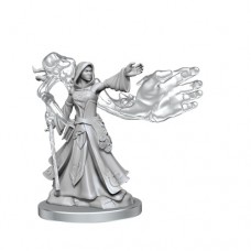 WizKids - 龍與地下城 - 組裝模型 - 「女性精靈巫師」D&D Frameworks: Elf Wizard Female 75023 (NT 500元)
