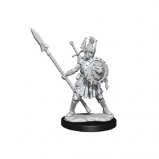 WizKids - 龍與地下城 - 組裝模型 - 「女性人類戰士」D&D Frameworks: Human Fighter Female 75025 (NT 500元)