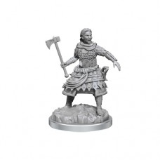 WizKids - 龍與地下城未上色模型 - 「人類戰士」 D&D - Nolzur's Marvelous Miniatures - Human Fighters - 90639