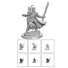 WizKids - 龍與地下城 - 組裝模型 - 「男性半妖精遊俠」D&D Frameworks - Male Half-Elf Ranger - 75077