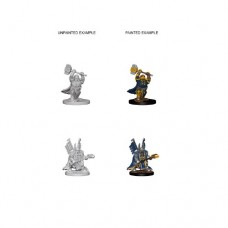 WizKids - 龍與地下城未上色模型 -  「矮人男性聖騎士」 D&D - Nolzur's Marvelous Miniatures - Dwarf Male Paladin（NT 180）72630