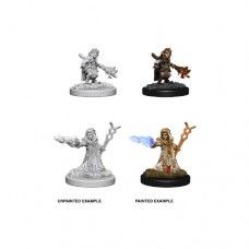 WizKids - 龍與地下城未上色模型 -  「女性侏儒巫師」 D&D Nolzur’s Marvelous Miniatures - Female Gnome Wizard（NT 180）73383