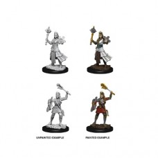 WizKids - 龍與地下城未上色模型 -  「女性人類牧師」 D&D Nolzur’s Marvelous Miniatures - Female Human Cleric（NT 180）73671