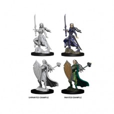 WizKids - 龍與地下城未上色模型 -  「女性精靈聖騎士」 D&D Nolzur’s Marvelous Miniatures - Female Elf Paladin（NT 180）73706