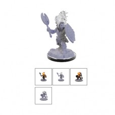 WizKids - 龍與地下城 - 未上色模型 - D&D Nolzur's Marvelous Miniatures: Flail Snail連枷蝸牛 - 90676(NT.530)