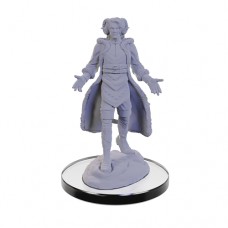 WizKids - Critical Role - 未上色模型 - Critical Role Unpainted Miniatures: Lucien Tavelle & Cree Deeproots - 90663(NT.180)
