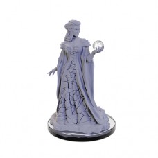 WizKids - Critical Role - 未上色模型 - 霍哈斯法師&徘徊者 - Critical Role Unpainted Miniatures: Xhorhasian Mage & Xhorhasian Prowler - 90665(NT.180)